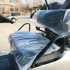 Shininglsv इलेक्ट्रिक 4 सीट मिनी मैक्स 300 प्यारी गोल्फ कार्ट लीड एसिड बैटरी 5kw एसी मोटर कर्टिस नियंत्रक 50-70 किमी/घंटा - Product Image 5