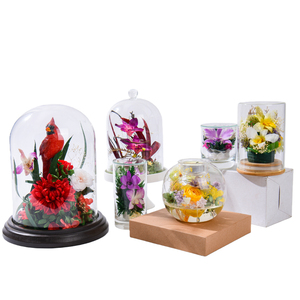 HFlora Neue Elegante Orchideen-Glasglocke Mittlere Größe für Chinesisches Neujahr Ostern Weihnachten Geburtstag Erntedankfest - Product Image 5