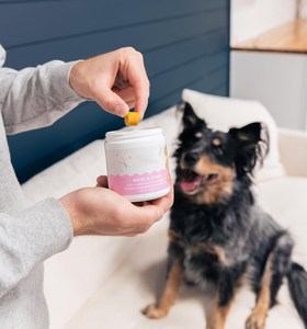 OEM/ODM cilt ve ceket desteği köpekler için yumuşak çiğniyor-Omega 3-6-9 & Biotin formülü, <span class=keywords><strong>Aloe</strong></span> <span class=keywords><strong>Vera</strong></span> ile kaşıntı kabartma ve dökülme kontrolü - Product Image 6