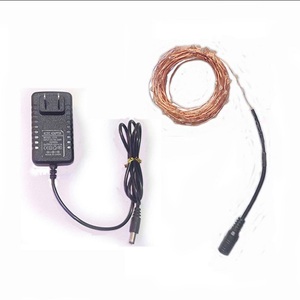 Hoa Kỳ Cắm Châu Âu Cắm Dây Đồng <span class=keywords><strong>LED</strong></span> Chuỗi Cổ Tích Đèn Vòng Hoa Cho Cây Giáng Sinh Kỳ Nghỉ Đám Cưới Đảng Trang Trí - Product Image 3