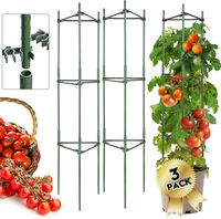 Roestvrije plantenbeugel voor buiten, geschikt voor komkommers, druiven en passievruchten, duurzaam voor langdurig gebruik buitenshuis.