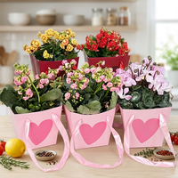 Sac de transport en papier/plastique écologique avec poignée, motif cœur, pour bouquets, centres commerciaux, Saint-Valentin