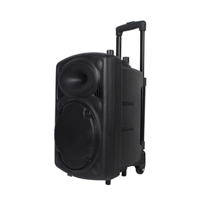 15 "<span class=keywords><strong>grand</strong></span> Dj Haut-Parleur Chariot Reverb Avec Bluetooth Fm/Radio/Navigation Vocale - Product Image 2