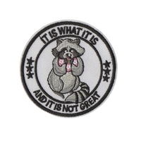 Patchs brodés personnalisés à motifs de dessins animés originaux, certifiés CE, avec texte humoristique et animaux, badges thermocollants pour tenues quotidiennes et ornements artisanaux
