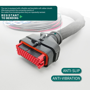 ชุดสาย<span class=keywords><strong>ไฟ</strong></span>รถยนต์แบบกันน้ำ IP67 พร้อมขั้วต่อแบบหลายขาขึ้นรูปด้วยวิธีฉีดขึ้นรูป สำหรับอุปกรณ์เสริมในรถยนต์ - Product Image 3
