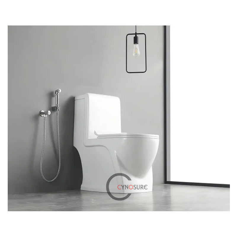 ไซโฟนิค