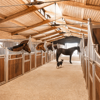 Écurie extérieure pour chevaux en métal galvanisé avec abri de toit pour usage équestre en ferme