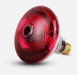 Lampe chauffante infrarouge thermique 220V pour l'incubation des poulets, en parfait état, pour la reproduction, la préservation de la chaleur, le chauffage, la ferme d'élevage, en aluminium - Product Image 1