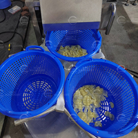 Panier tournant motorisé en acier inoxydable 304 pour fruits, légumes, chips, marque Hexu, garantie 1 an