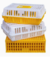 Cage pour animaux à usage domestique portable pour le transport des œufs pour l'éleveur de caille et de dinde de poulet nouvel état utilisation agricole en vente