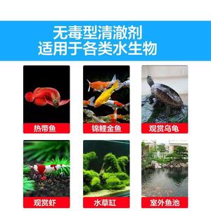 Polvo Clarificador de Agua para Acuarios Jujia 80g para Mejorar la Calidad del Agua de Peces Ornamentales - Product Image 4