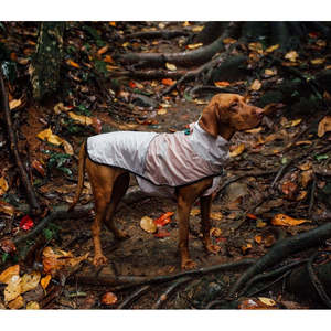 เสื้อกันฝนข้าวโอ๊ตสำหรับสุนัข เสื้อกันน้ำสำหรับสัตว์เลี้ยงพร้อมแถบสะท้อนแสง ขนาดกลาง - Product Image 5