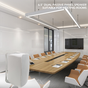 Odr65 treo tường loa cho hội nghị, trường học OEM/OEM 6.5inch 30 Wát 100V hộp đen kim loại nhựa không dây AC <span class=keywords><strong>SONOS</strong></span> thụ động - Product Image 2