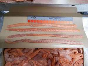 Bon marché Ventre <span class=keywords><strong>de</strong></span> <span class=keywords><strong>saumon</strong></span> Atlantic Salmom Belly Flaps Frozen Salmon Bely 1-3cm in Salmon - Product Image 6