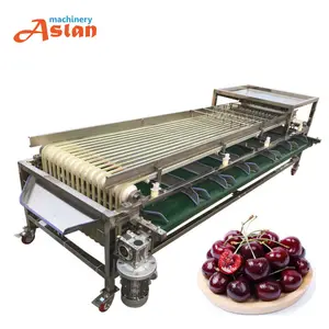 Automatic Round Fruits Olive Grader Sorting Machine Avocado Jujube Cleaning Sorting Machine Onion Grader