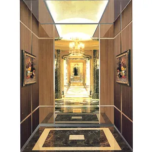 Luxurious Titanium Mirror Etching Hairline Stainless Steel Elevator Cabin