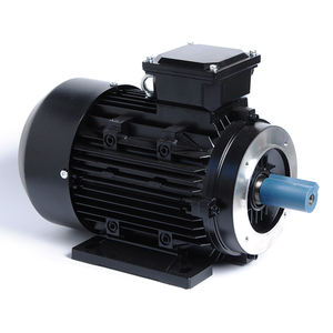 Efficienza Premium della serie IE2 2hp 3hp 10hp 15hp 20hp motore elettrico asincrono a induzione con alta velocità di alta qualità - Product Image 3