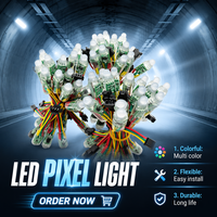 Ampoule LED RGB programmable et adressable, étanche, pour éclairage intelligent de paysage, de bâtiment et de décoration architecturale