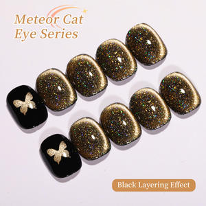 2025 Meteor Cat Eye Gel per unghie a lunga durata perline in resina UV 15ml per fai da te stile francese magnete <span class=keywords><strong>occhio</strong></span> di <span class=keywords><strong>gatto</strong></span> - Product Image 3