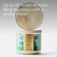 Bougie artisanale Oshine à la menthe verte et à l'eucalyptus, 3 mèches, en cire de soja, parfum longue durée, haute concentration d'aromathérapie pour la maison