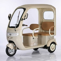 Triciclo de Pasajeros de Gran Potencia, Triciclo Eléctrico de Tres Ruedas 60V72V, Fabricación China, Fábrica OEM