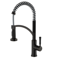 Robinet de cuisine monocommande de luxe contemporain, avec douchette extractible, pour usage hôtelier, eau chaude et froide