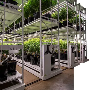 温室模块化彻底改变农业垂直蔬菜农业