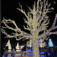 Grenzüberschreitende IP65 Wasserdichte Aluminium-LED-Motivbeleuchtung für Landschafts- und Festdekorationen, Weihnachtsbeleuchtung mit Fernbedienung und Dimmfunktion