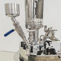 WHGCM Reactor de Laboratorio de Acero Inoxidable con Calentamiento Eléctrico, Abertura Rápida, 5L, 10L, 20L, con Dispositivo de Elevación y Mezclador de Anclaje