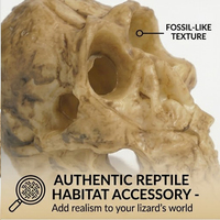 Matériel d'escalade pour animaux de compagnie Boîte d'élevage Matériau ABS Réutilisable Écologique Design Moderne Aménagement Paysager Crâne Rhinocéros Araignée