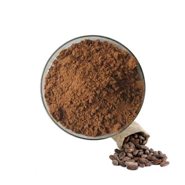 QY Herb Export polvere di cacao puro/polvere di cacao alcalino all'ingrosso