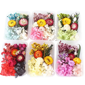 Kit <span class=keywords><strong>de</strong></span> fleurs séchées DIY pour bougies parfumées, accessoires <span class=keywords><strong>de</strong></span> fabrication <span class=keywords><strong>de</strong></span> cartes, fleurs séchées artisanales, petites fleurs <span class=keywords><strong>de</strong></span> <span class=keywords><strong>pampa</strong></span> - Product Image 4