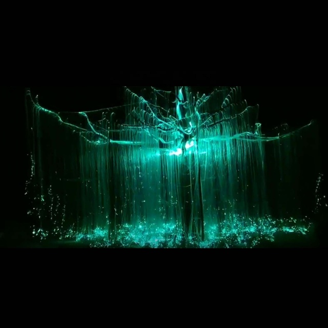 LED Fiber Optic Light Tree Garden Landscape Light