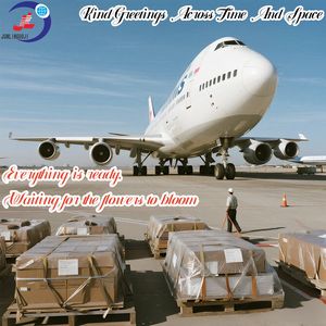 Servizi DDP/DDU di logistica globale in sovrappeso/sovradimensionato più sicuro/più veloce/economico FCL/LCL Express/autotrasporto aereo merci - Product Image 4