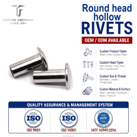 Rivets creux à tête ronde TianFang, rivets traversants compacts, usine de fixation métallique OEM, livraison rapide et faible MOQ OEM
