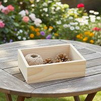 Jardinière rectangulaire en bois écologique et durable pour plantes succulentes, idéale pour l'intérieur, l'extérieur, le jardin et la maison, directement de l'usine