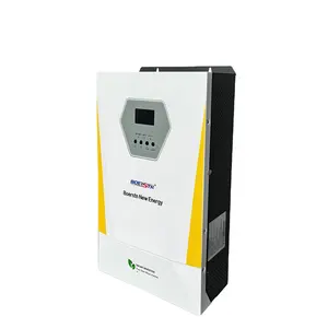 3KW 5KW 1.1KW Invertor 24V 48V 3000W 3KVA Pure Sine Wave Solar Inverter