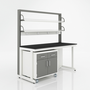 WUY muebles de la Escuela de Biología de <span class=keywords><strong>trabajo</strong></span> - Product Image 5