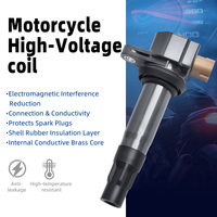 Bobine d'allumage haute tension pour RYKER - RALLY - 900 ACE RYKER 600 900 ACE RYKER RALLY 900 SPYDER F3
