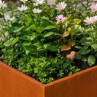 Jardinière rectangulaire en acier Corten, pot à fleurs en métal rustique pour jardin et terrasse