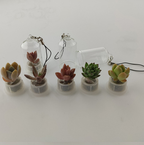 Portachiavi a Forma di Pianta Succulenta Imitazione Baby Alive, Cactus <span class=keywords><strong>Cellulare</strong></span>, Animale Domestico in Miniatura - Product Image 2