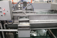 Industriële appel-, groente- en fruitwasserinstallatie, fruitborstelwasapparatuur voor het reinigen van uien