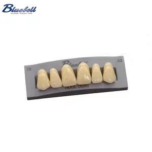 Huge Dental Synthetic polymer Teeth Series BLUEBELL with 28*1*4 Specification for temporary crown, inlay, denture