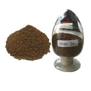 Hot-SALE Lysine Giá thấp nhất