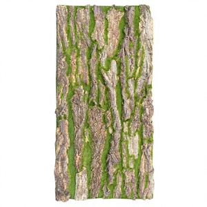 DLL650 Gazon artificiel en plastique floqué pour jardin, simulation de <span class=keywords><strong>lichen</strong></span>, herbe, 20 mm, décoration extérieure, écorces de pin, végétalisation artificielle - Product Image 1