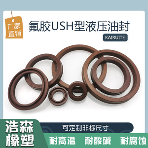 ซีลน้ำมันไฮดรอลิกฟลูออโรรับเบอร์ Kairuite รุ่น UsH ขนาด 11.2-275 มม. ทนความร้อนสูงสำหรับกระบอกสูบ - Product Image 2