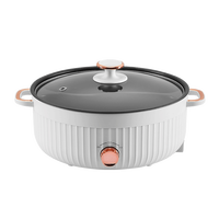 Vente en gros de nouvelles marmites électriques multifonctions à double saveur, marmites électriques pour la cuisson