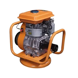 Vibrador de Hormigón <span class=keywords><strong>Robin</strong></span> EY20 de 5hp con Motor Interno de Gasolina y Rodamiento - Product Image 1