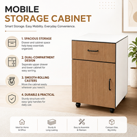 Huajiale prix d'usine pas cher armoire mobile stratifiée à haute pression avec tiroirs armoire mobile à un tiroir