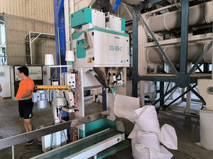 آلة تعبئة الأرز Ewinall DCS-50FE2-B سعة 10-50 كجم مع ناقل خياطة 30 طن شبه أوتوماتيكية لأكياس الطعام - Product Image 2